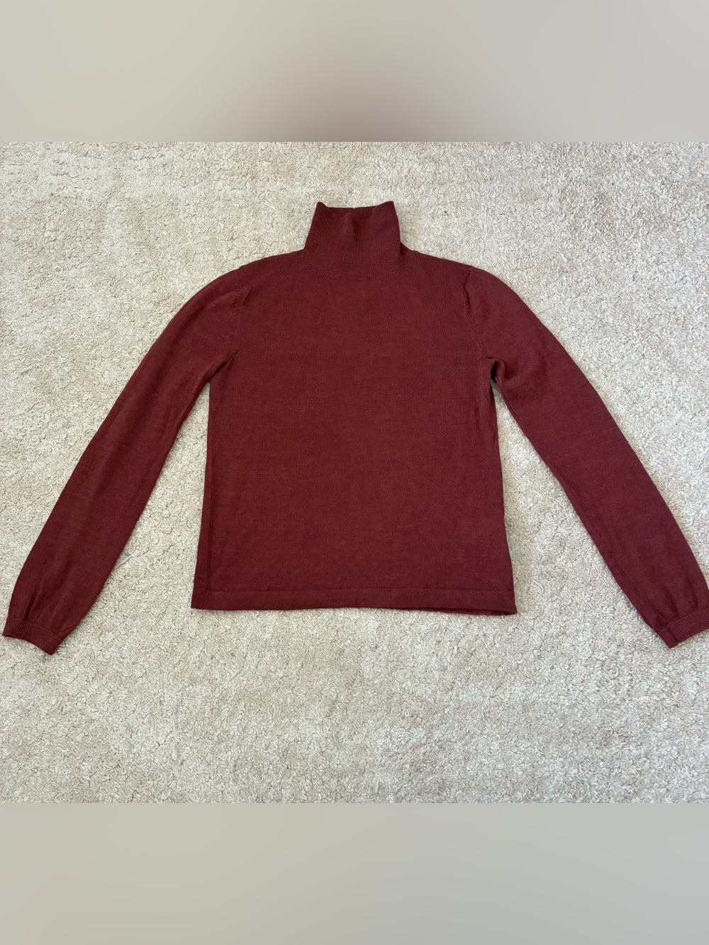 Hesperios 100% Baby Alpaca Turtleneck Sweater Rust XS